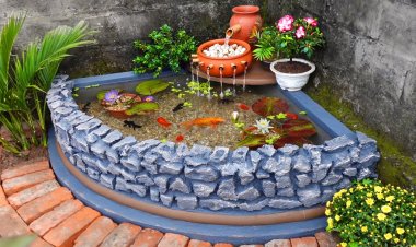 Хашаандаа усан оргилуур хийх арга