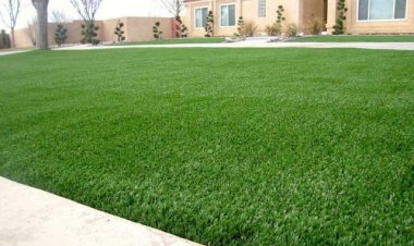 Зүлэг тарих заавар зөвлөгөө