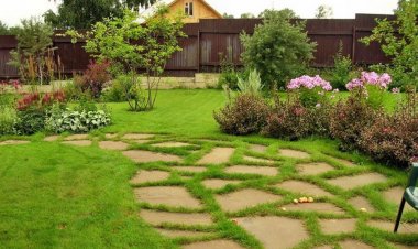 Хашаандаа зүлэг тарьж сурцгаая