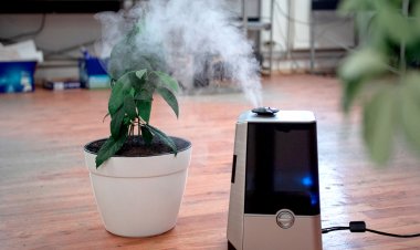 Тасалгааны агаарын чанар гэж юу вэ