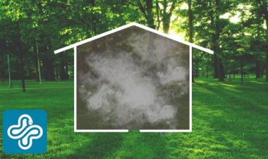 Б.Ариунхишиг: Гэр доторх агаар гадна орчны агаараас 4-6 дахин хортой